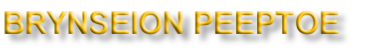 BRYNSEION PEEPTOE